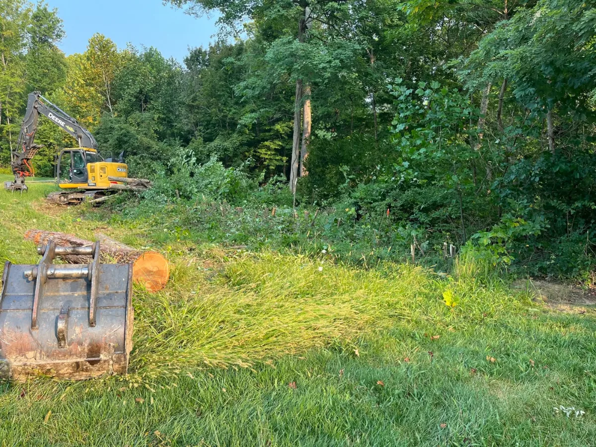 Land and timber held for future development