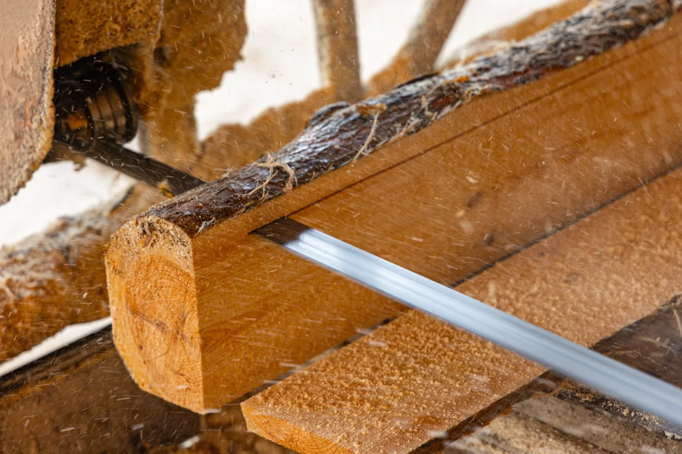 A bandsaw blade cutting a fresh timber cant at the NB Sawmill